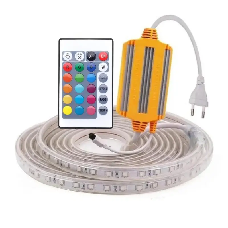 Bon Plan Contrôleur & Alimentation pour Ruban LED 220V RGB 1000W