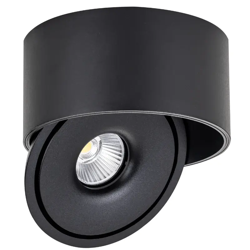 Spot LED en Saillie COB 30W Rond ø176mm Orientable CCT Noir - 3000K/4000K/6000K Offre Exclusive