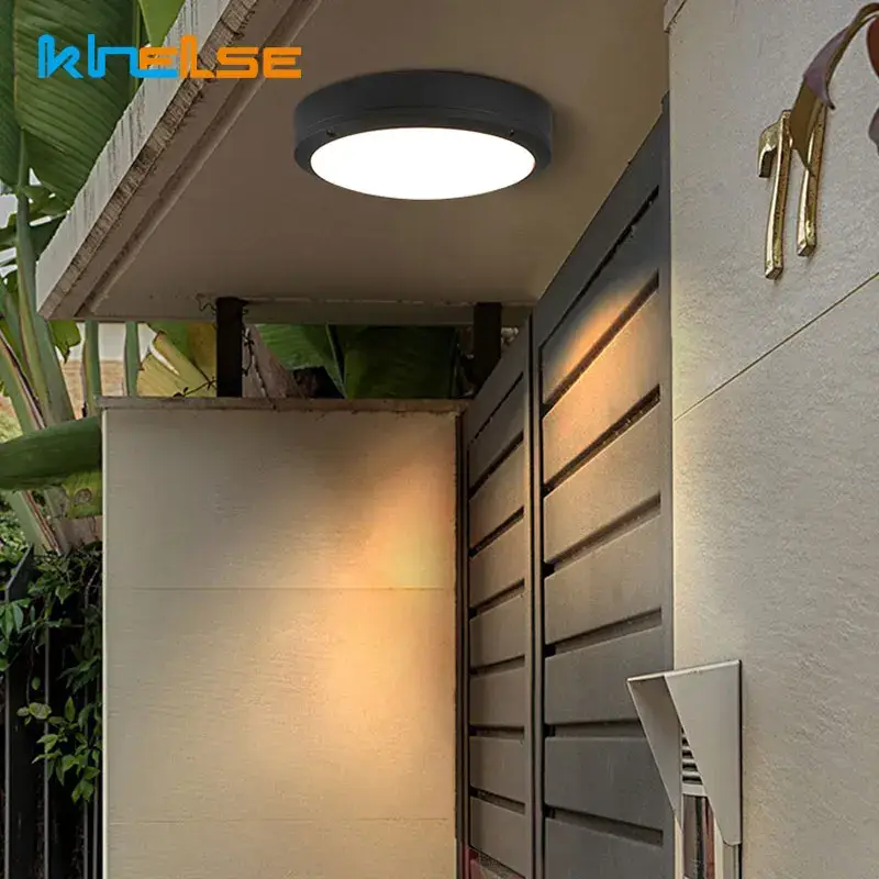 Waterproof outdoor ceiling light for garden, balcony and porch ligh... Achetez Aujourd'hui