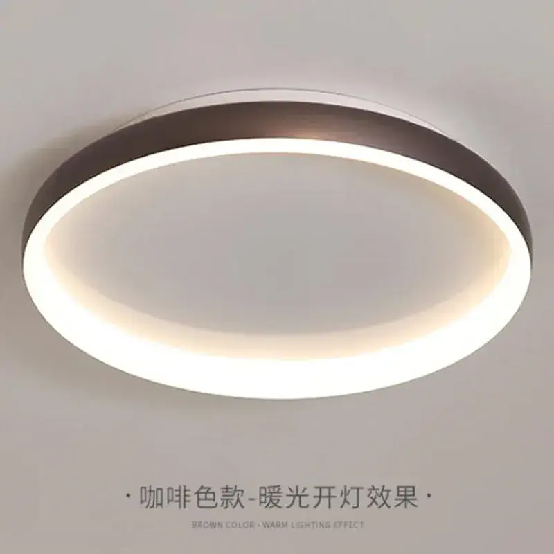 Nouvelle Collection Modern ceiling light with elegant finish for all rooms