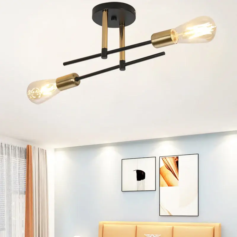 Expédition Rapide Modern iron ceiling light with two decorative lights for interior