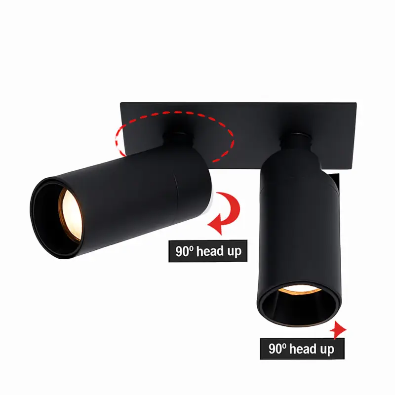 Expédié Aujourd'hui Adjustable recessed led spotlight for museums and art galleries