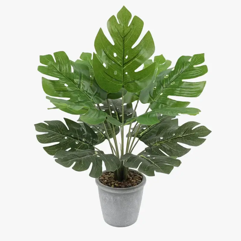 Acheter En Ligne Decorative artificial turtle leaf plants for home and office