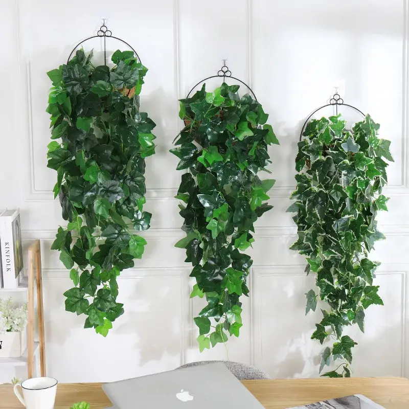 Prix Cassé Decorative hanging plants for garden and weddings