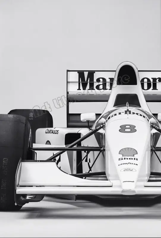 Must-Have Vintage poster sports car racing f1 monaco black and white
