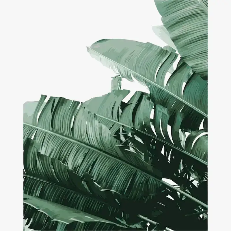 Haute Qualité Plant leaf paint by numbers decorative diy colouring kit