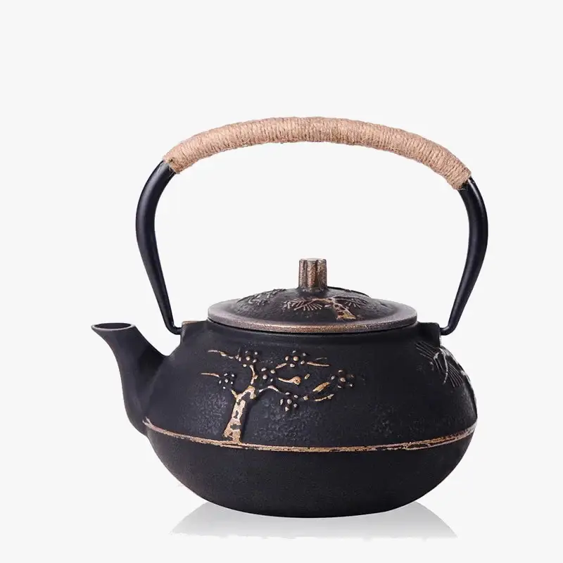 Pas Cher Japanese cast iron teapot set with enamel infuser 800ml