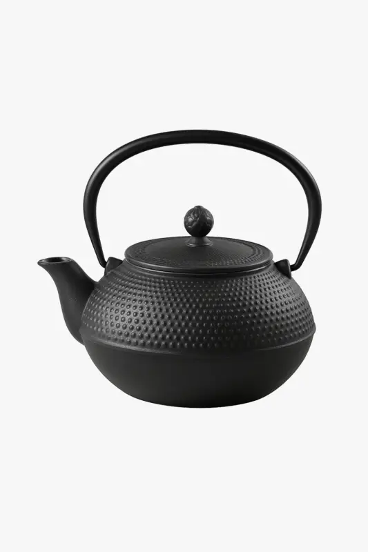 Nouvel Arrivage Chinese style cast iron kung fu kettle with filter