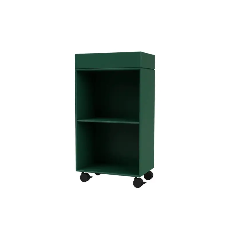 Expédié Aujourd'hui Meuble de rangement PREPPY PinMONTANA