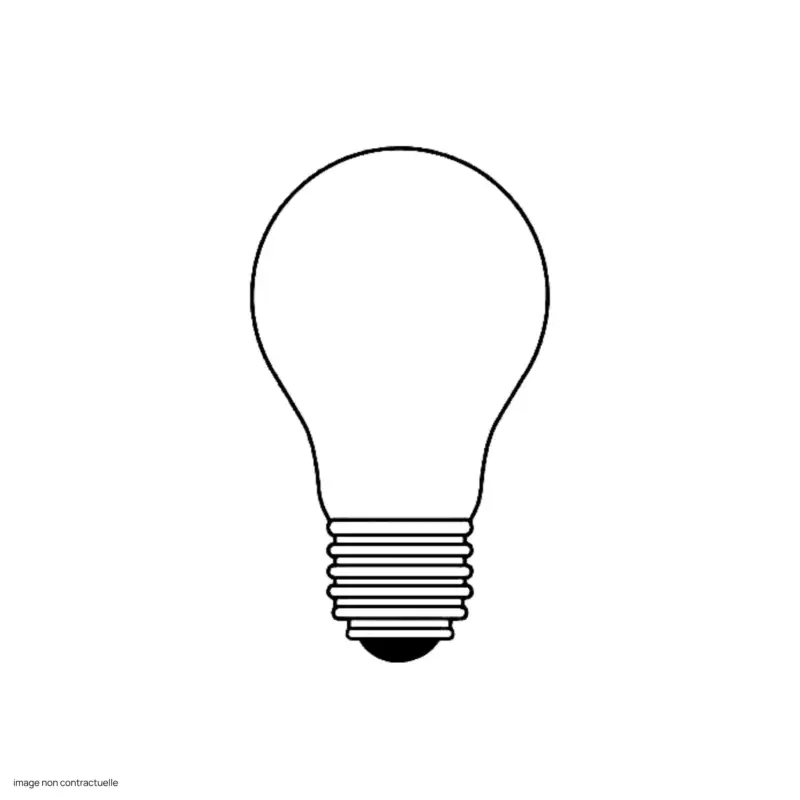 Ampoule E27 9W LED Acheter Direct