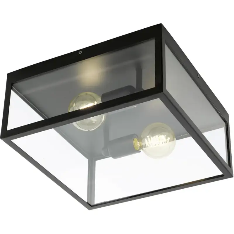 Affaire À Saisir Lumimart | Lampe de plafond Charterhouse Noir Acier 36 cm 16 cm