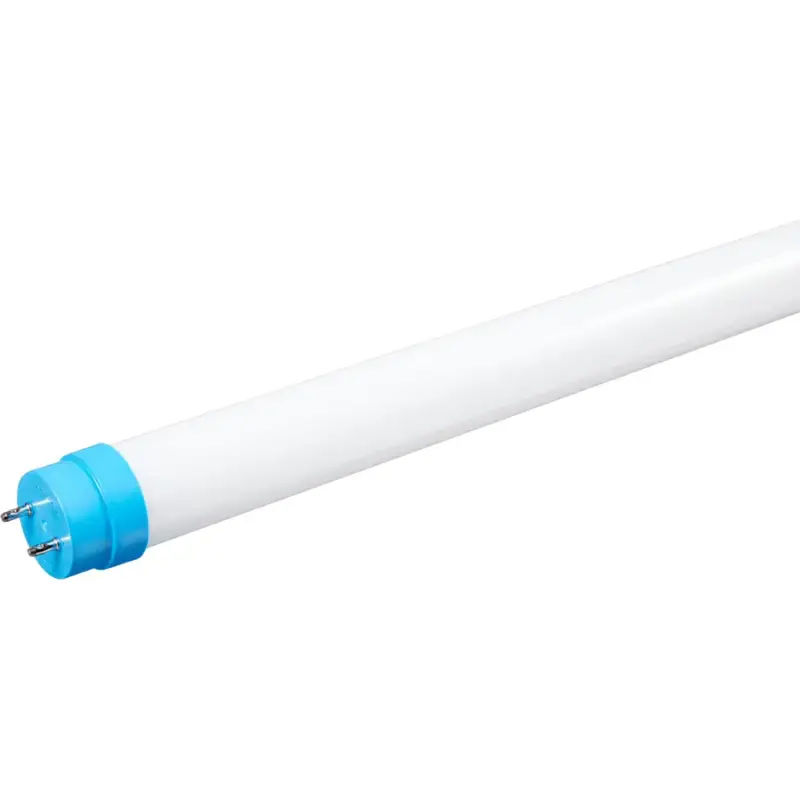 Promotion Saisonnière Lumimart | Ampoule Philips Verre G13 8 W 2.8 cm
