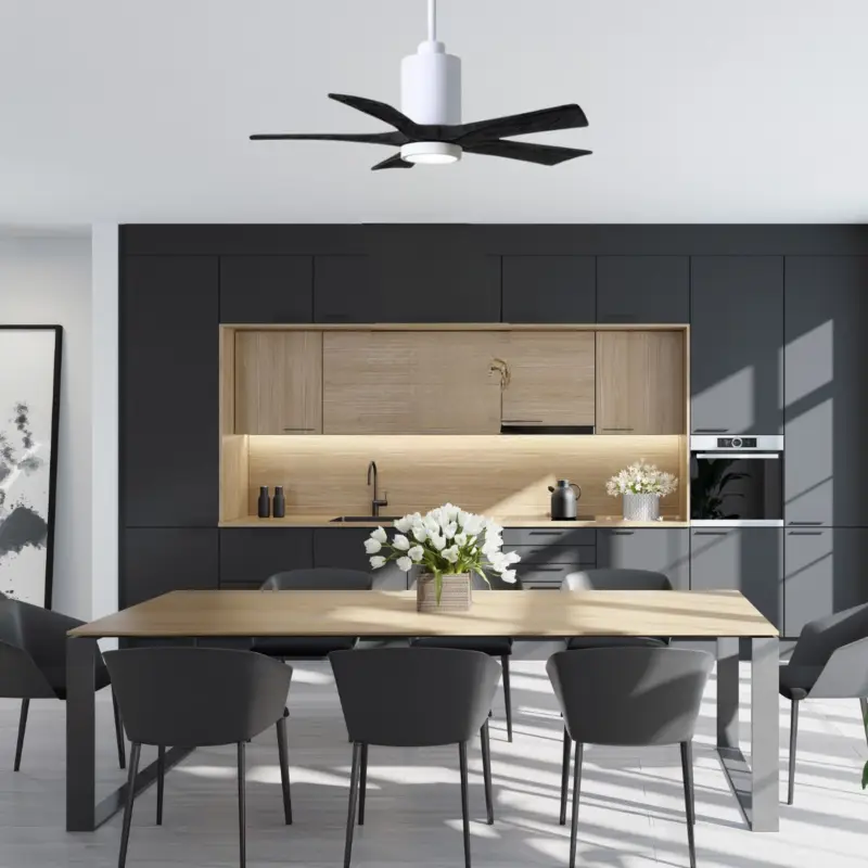 Ventilateur Plafond avec lumiere Patricia 106cm Blanc Noir Prix Promo