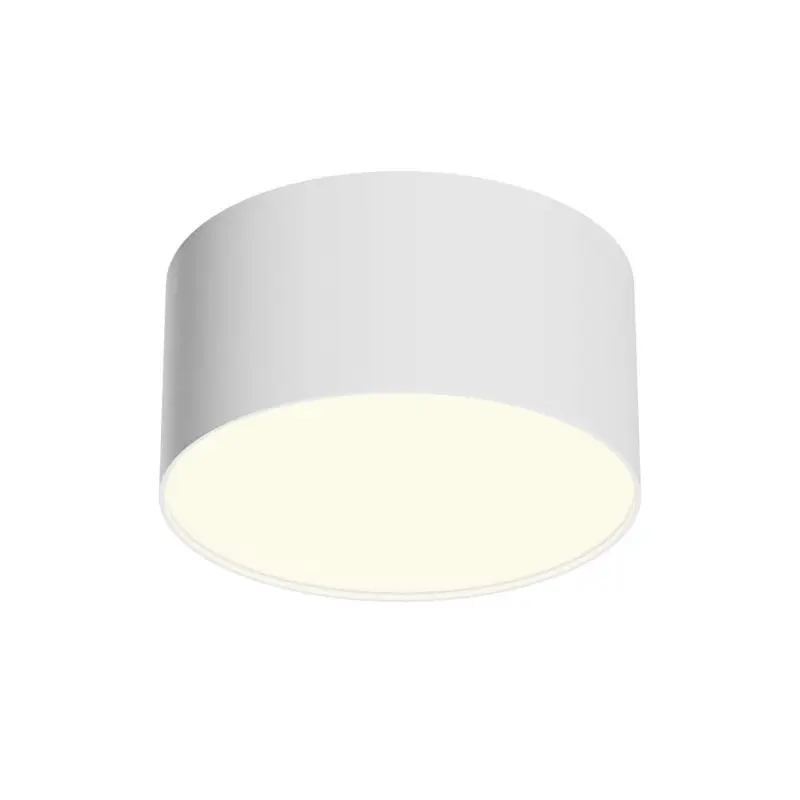 Plafonnier Zon 12W LED Blanc Meilleur Choix