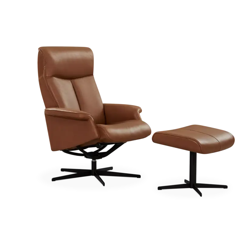 Offre Exclusive Paris - Fauteuil inclinable en cuir