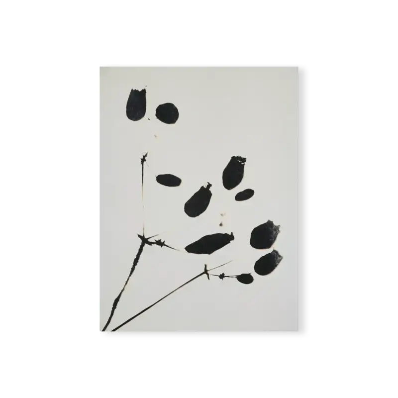 Wildflower - impression florale avec cadre Soldes