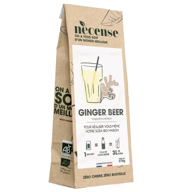 Promotion Préparation pour Ginger Beer maison